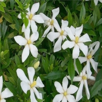 疫情下的民生保障，PDA保障各類生活必需品高效送達