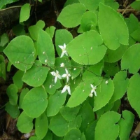 GXF-65Series工業二維讀碼器